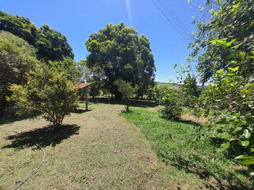 Fazenda, 40 hectares - Foto 2