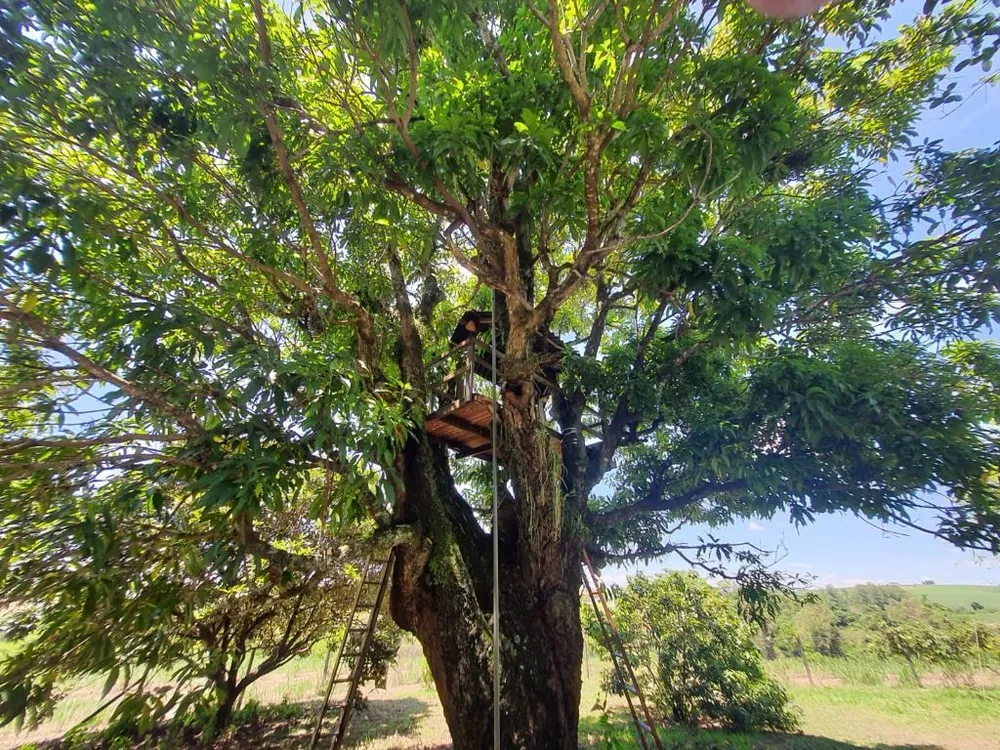 Fazenda, 40 hectares - Foto 4