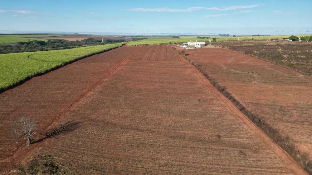 Terreno, 6 hectares - Foto 8