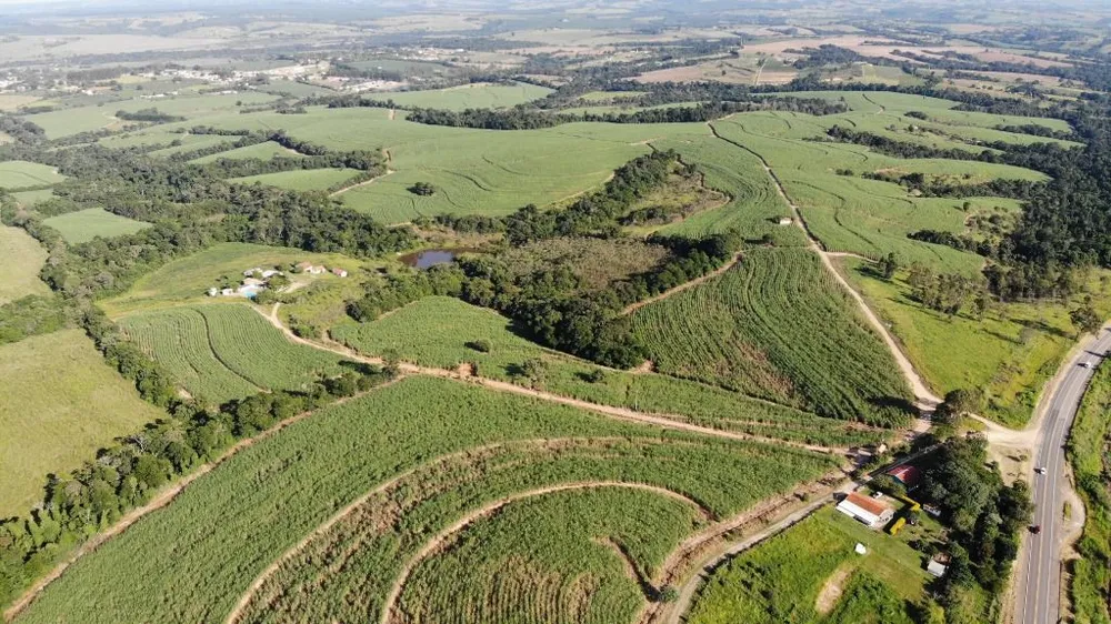 Fazenda, 288 hectares - Foto 3