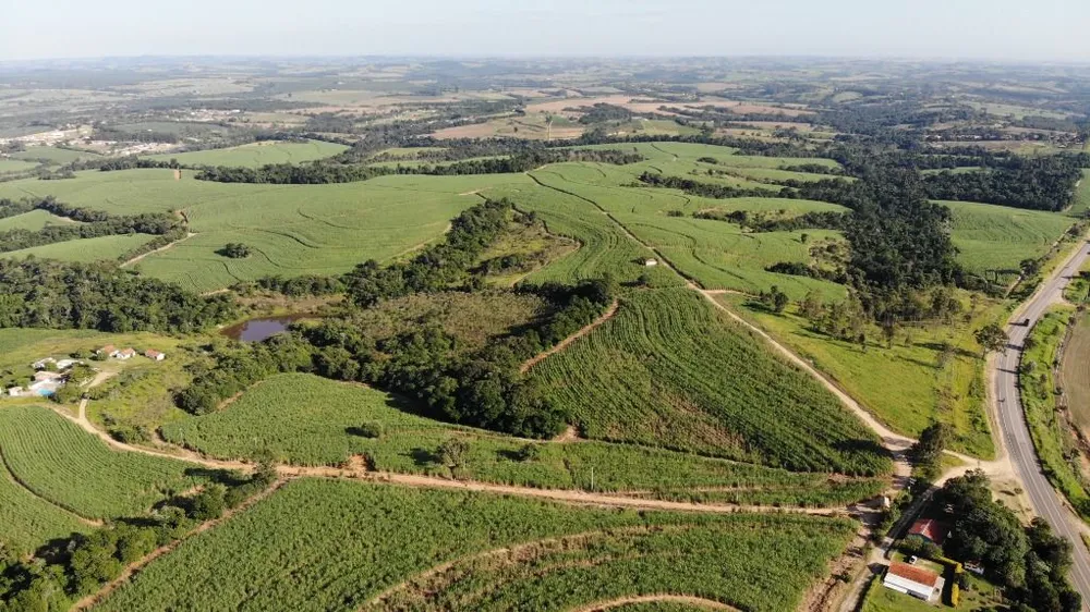 Fazenda, 288 hectares - Foto 10