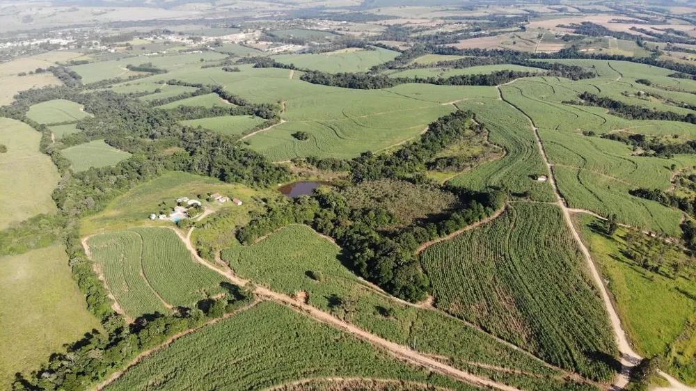 Fazenda, 288 hectares - Foto 6