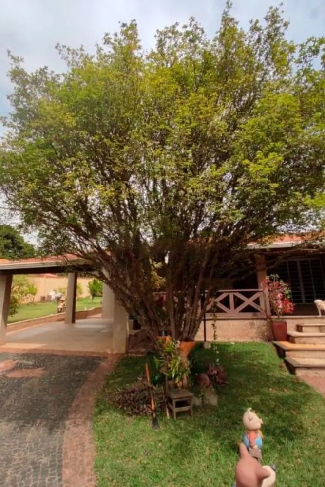 Chácara, 2 quartos, 2180 m² - Foto 10
