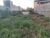 Loteamento e Condomínio, 250 m² - Foto 3