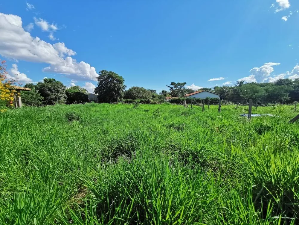 Terreno à venda, 1000m² - Foto 3