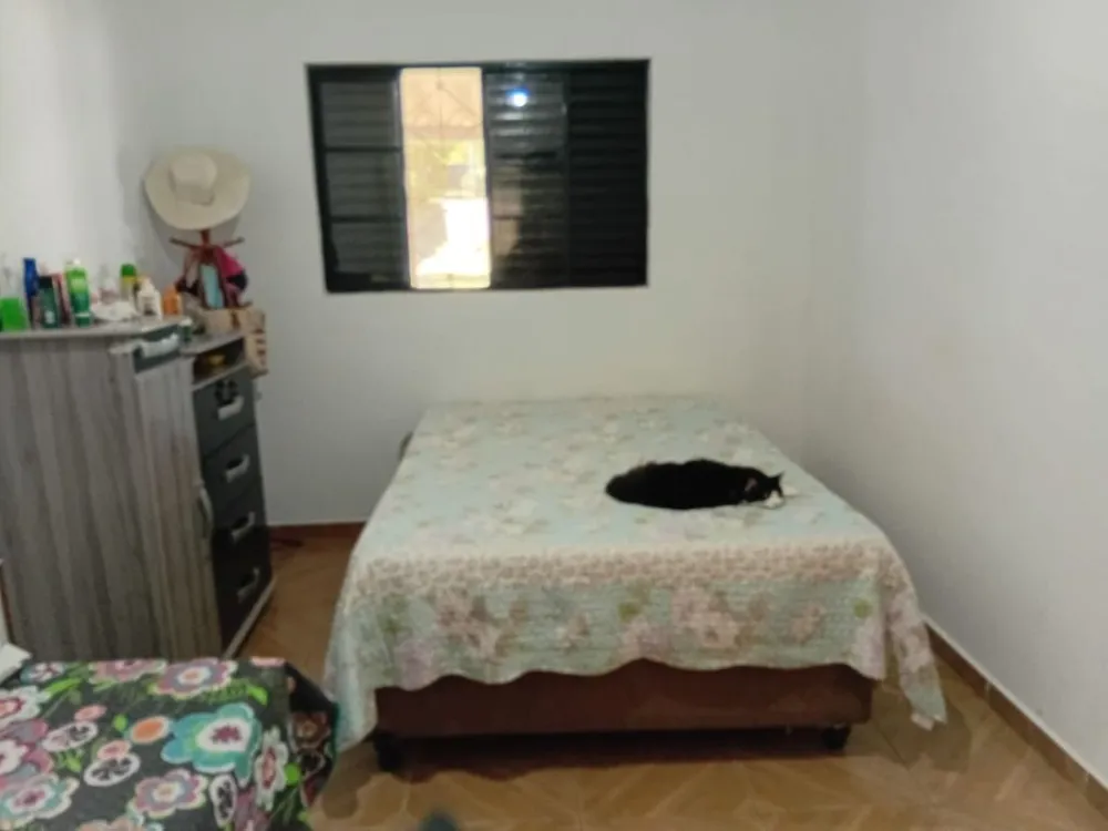 Chácara, 2 quartos, 2362 m² - Foto 7