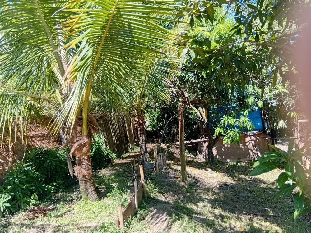 Chácara, 2 quartos, 2362 m² - Foto 13