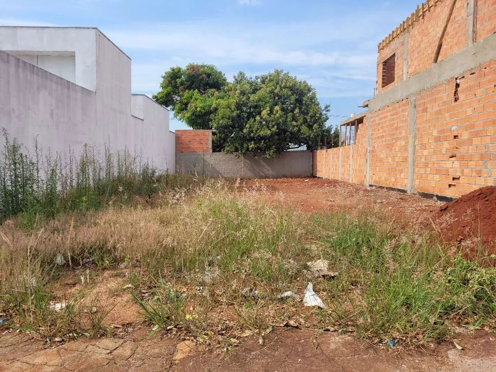 Terreno à venda, 250m² - Foto 2