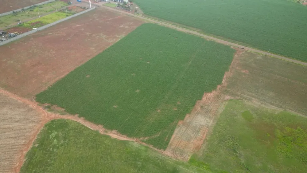 Terreno, 4 hectares - Foto 2