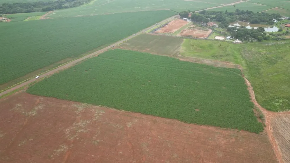 Terreno, 4 hectares - Foto 3