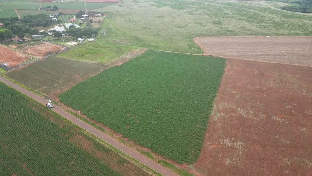 Terreno, 4 hectares - Foto 6