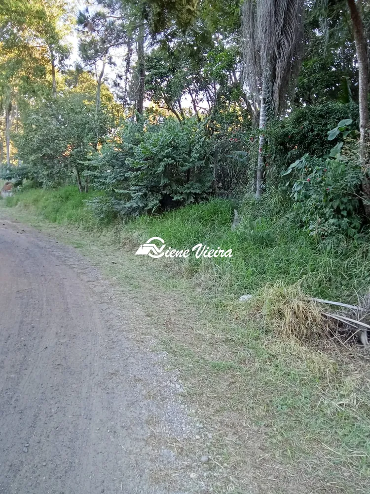 Terreno, 1300 m² - Foto 8