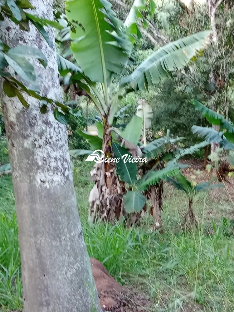 Terreno, 1300 m² - Foto 5