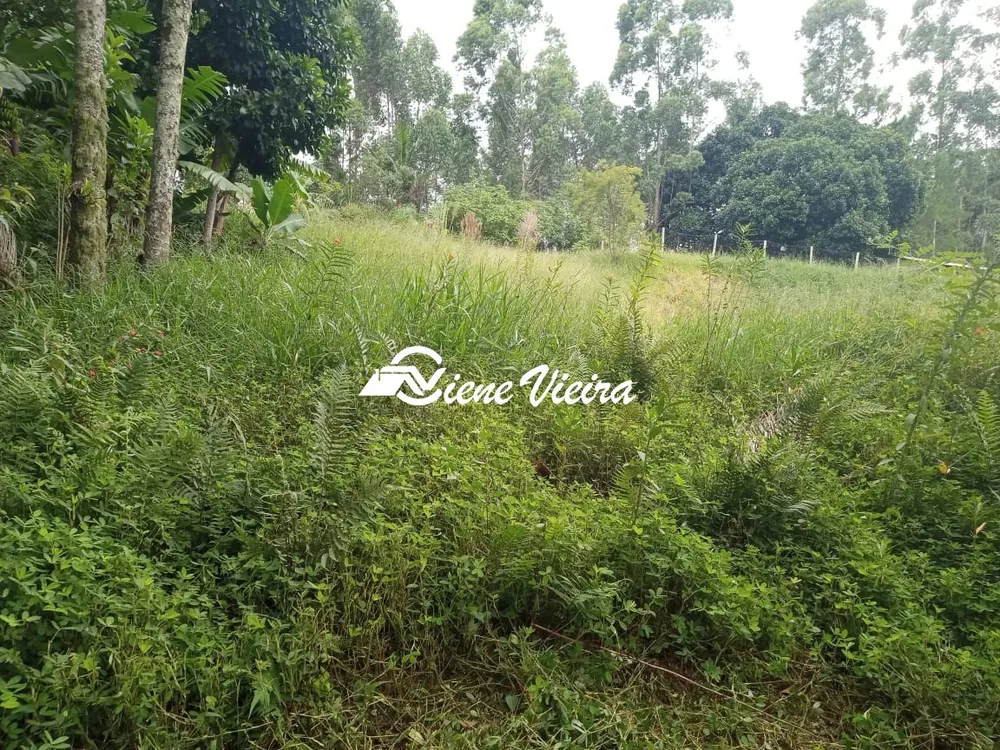 Terreno, 1625 m² - Foto 4