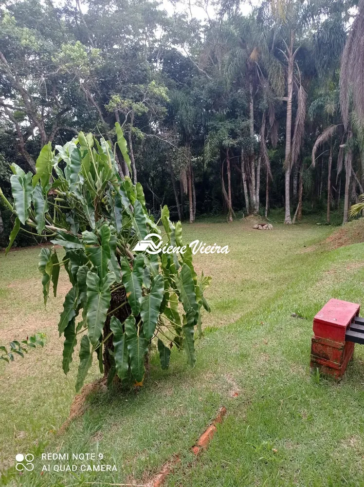 Chácara, 3 quartos, 4000 m² - Foto 4