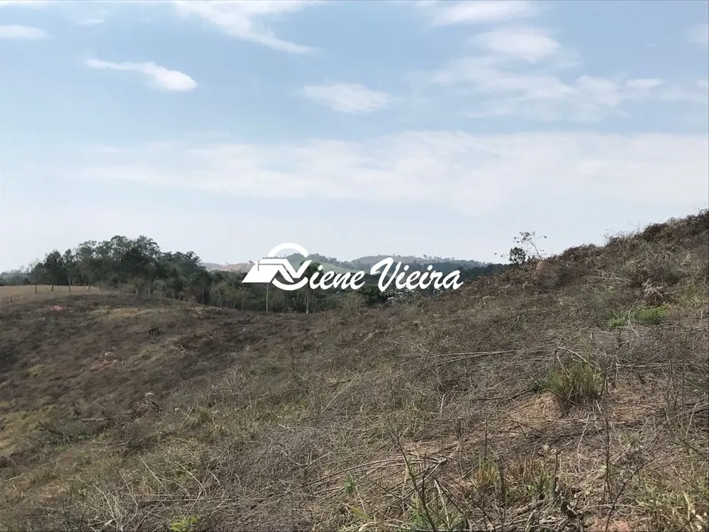 Chácara, 2 quartos, 4 hectares - Foto 4