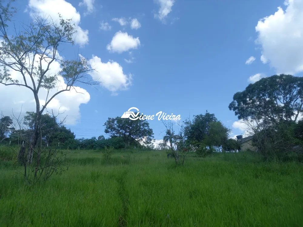 Terreno, 5000 m² - Foto 3