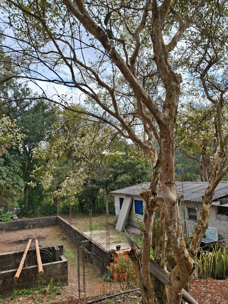 Sítio, 3 quartos, 6000 m² - Foto 2