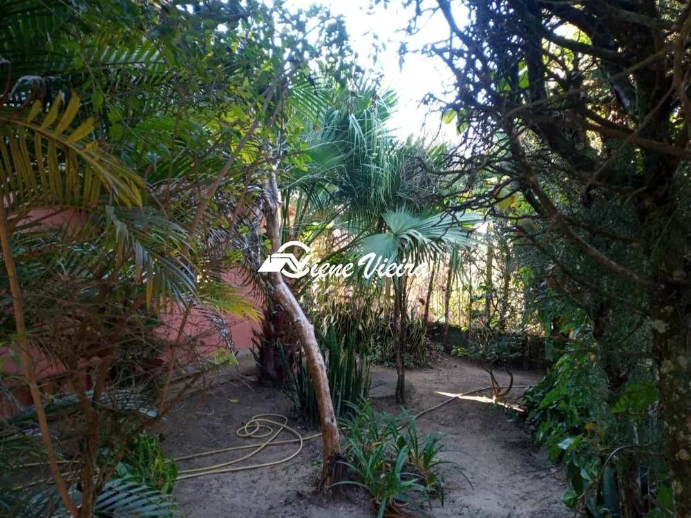 Terreno, 7000 m² - Foto 8
