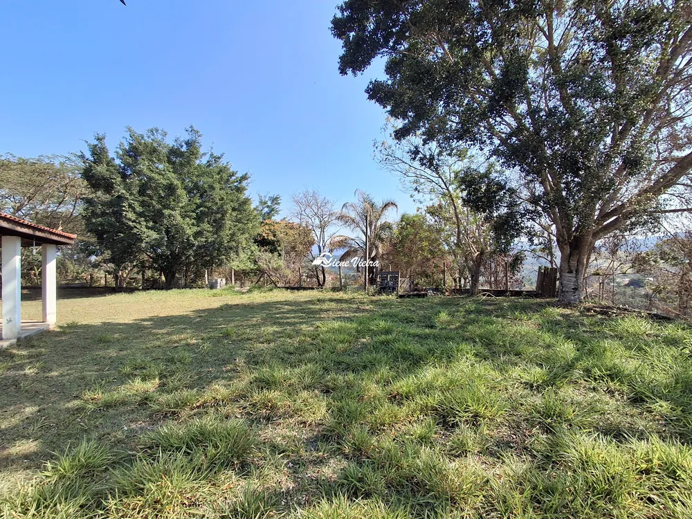 Chácara, 3 quartos, 6500 m² - Foto 3
