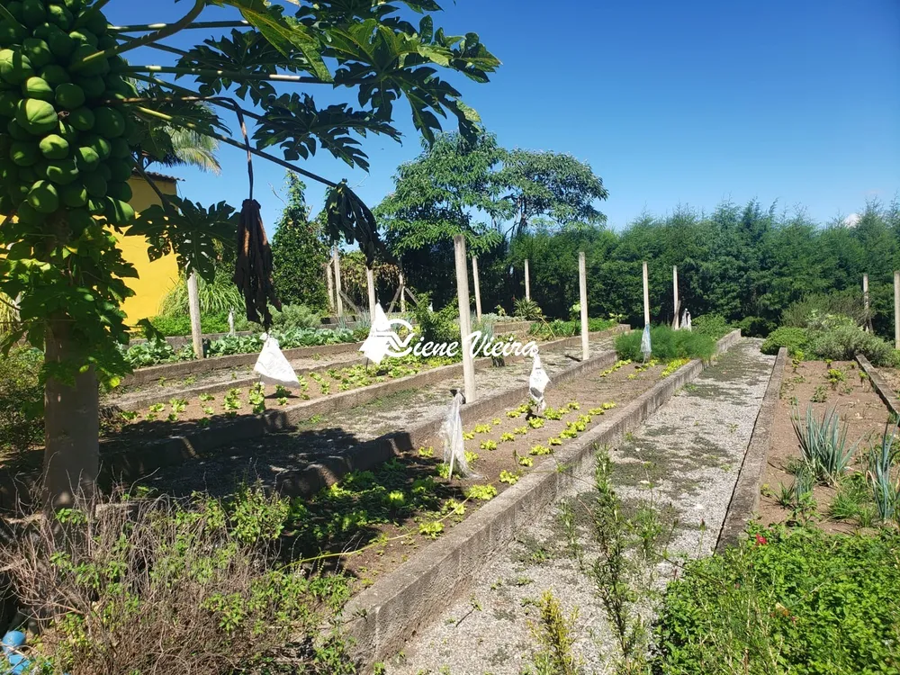 Chácara, 3 quartos, 4 hectares - Foto 3