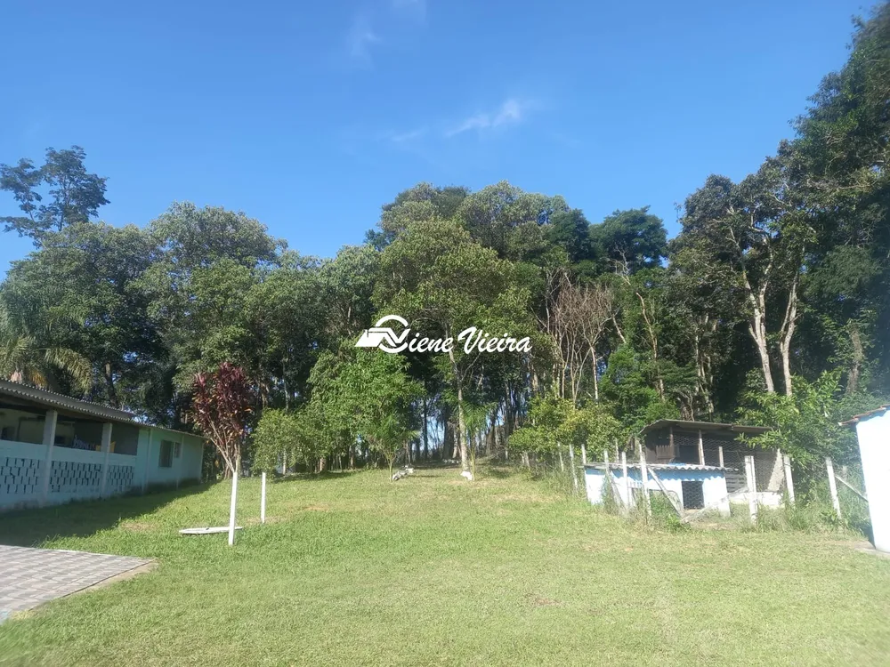 Chácara, 4 quartos, 4 hectares - Foto 8