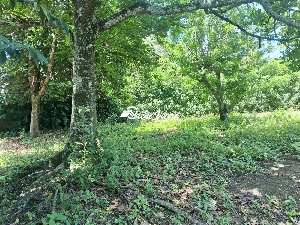 Chácara, 2 quartos, 2600 m² - Foto 8