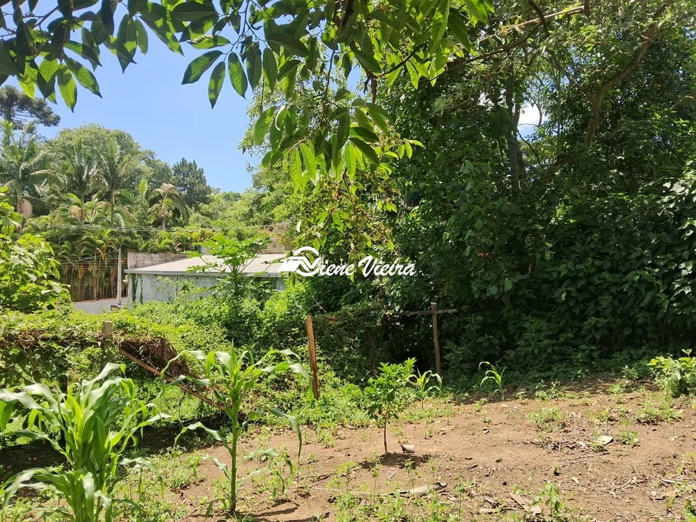 Chácara, 2 quartos, 2600 m² - Foto 7