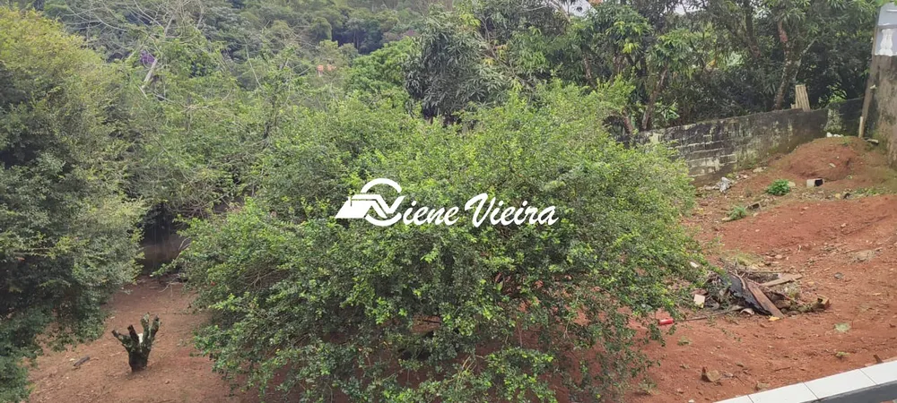 Chácara, 4 quartos, 1400 m² - Foto 5
