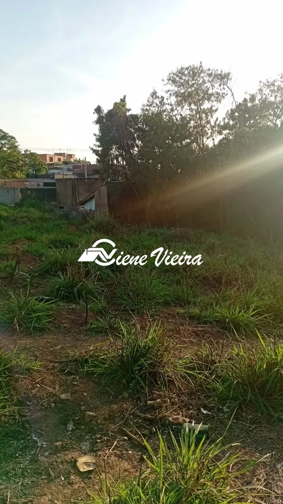 Terreno, 5000 m² - Foto 2