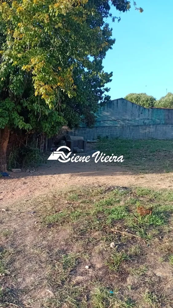 Terreno, 5000 m² - Foto 5
