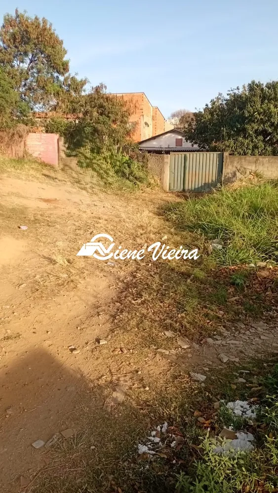 Terreno, 5000 m² - Foto 6
