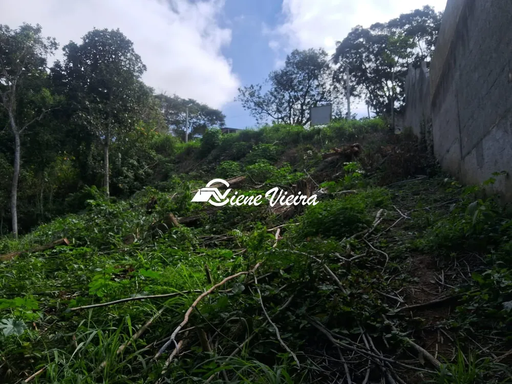 Terreno, 3038 m² - Foto 6