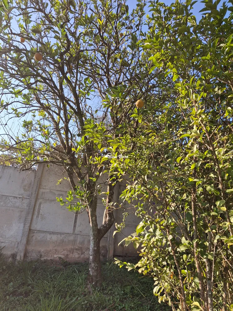 Chácara, 2 quartos, 1000 m² - Foto 4
