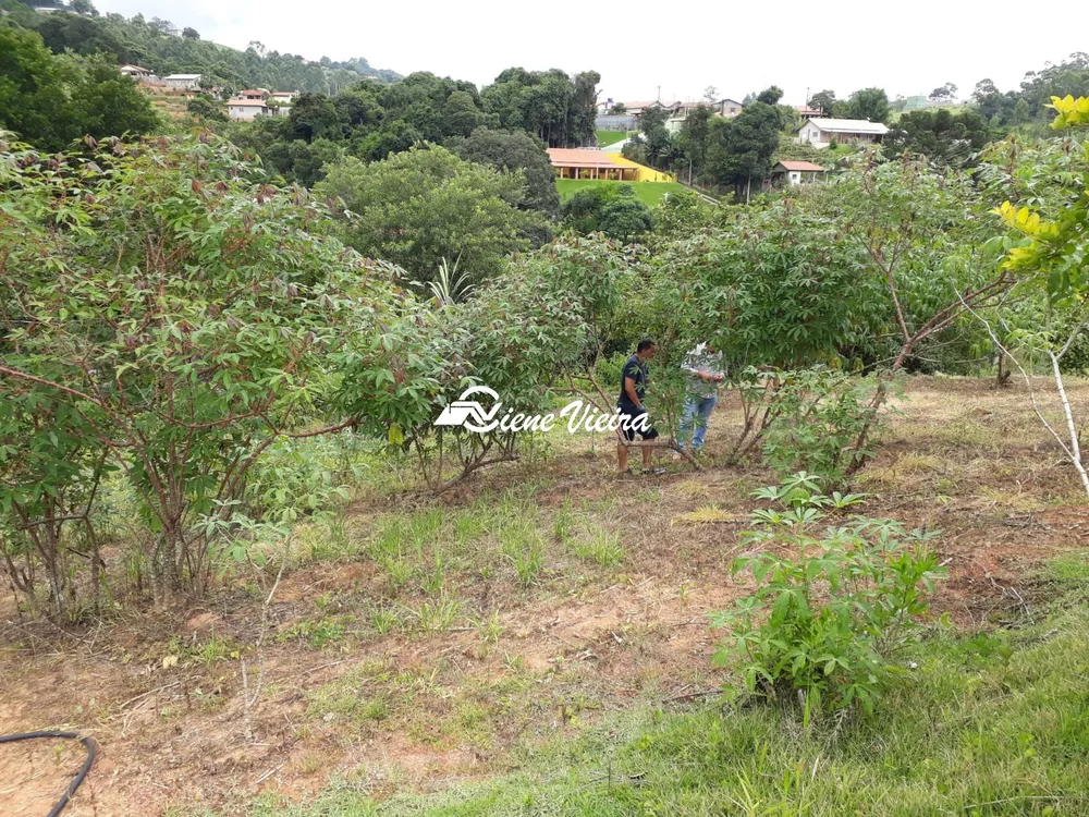 Sítio, 3 quartos, 8 hectares - Foto 4