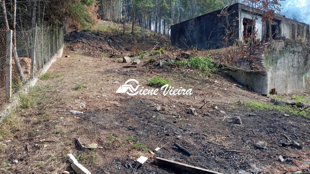 Terreno, 5000 m² - Foto 7