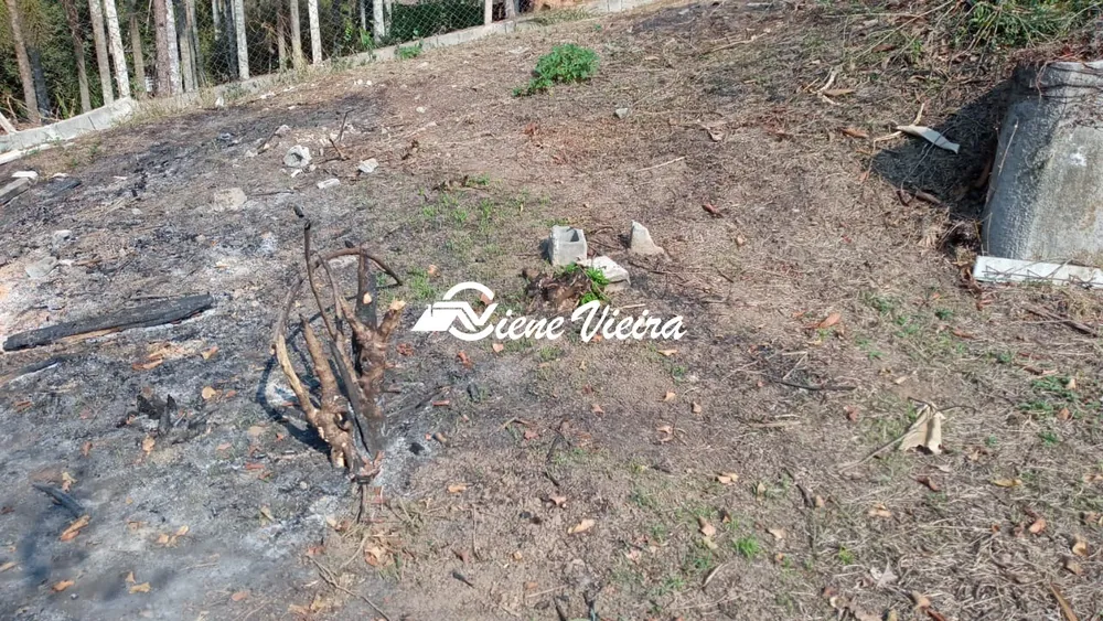 Terreno, 5000 m² - Foto 8
