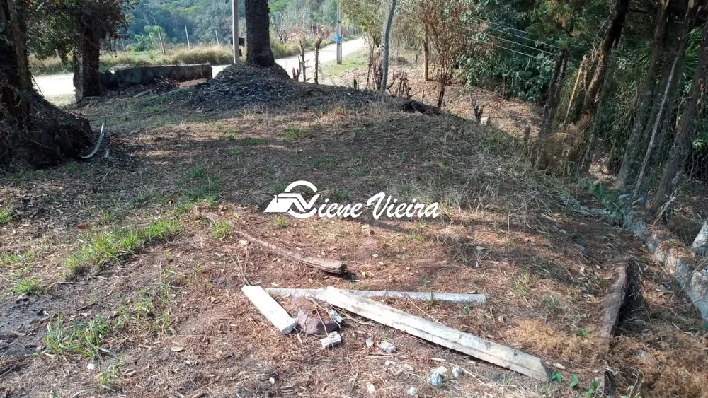 Terreno, 5000 m² - Foto 6