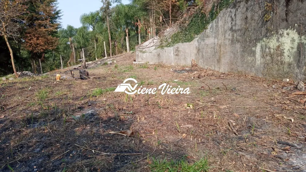 Terreno, 5000 m² - Foto 3