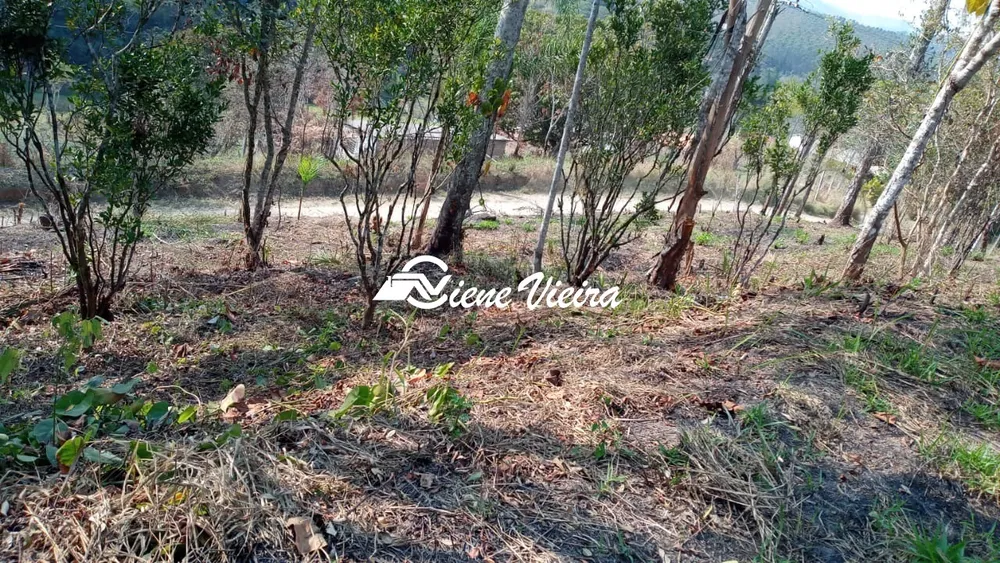 Terreno, 5000 m² - Foto 2