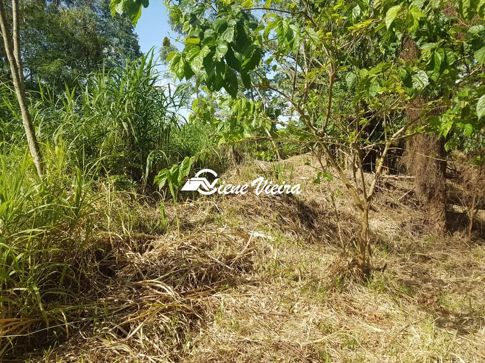 Terreno, 2177 m² - Foto 6