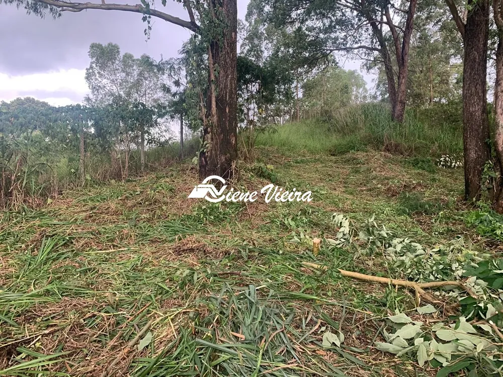 Terreno, 2177 m² - Foto 3