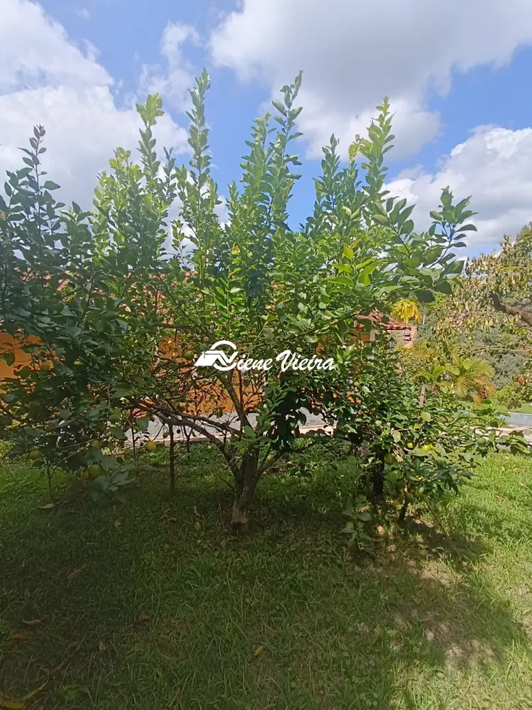 Chácara, 2 quartos, 1800 m² - Foto 1