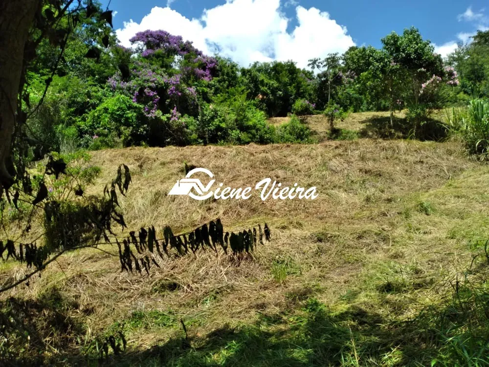 Terreno, 3115 m² - Foto 3