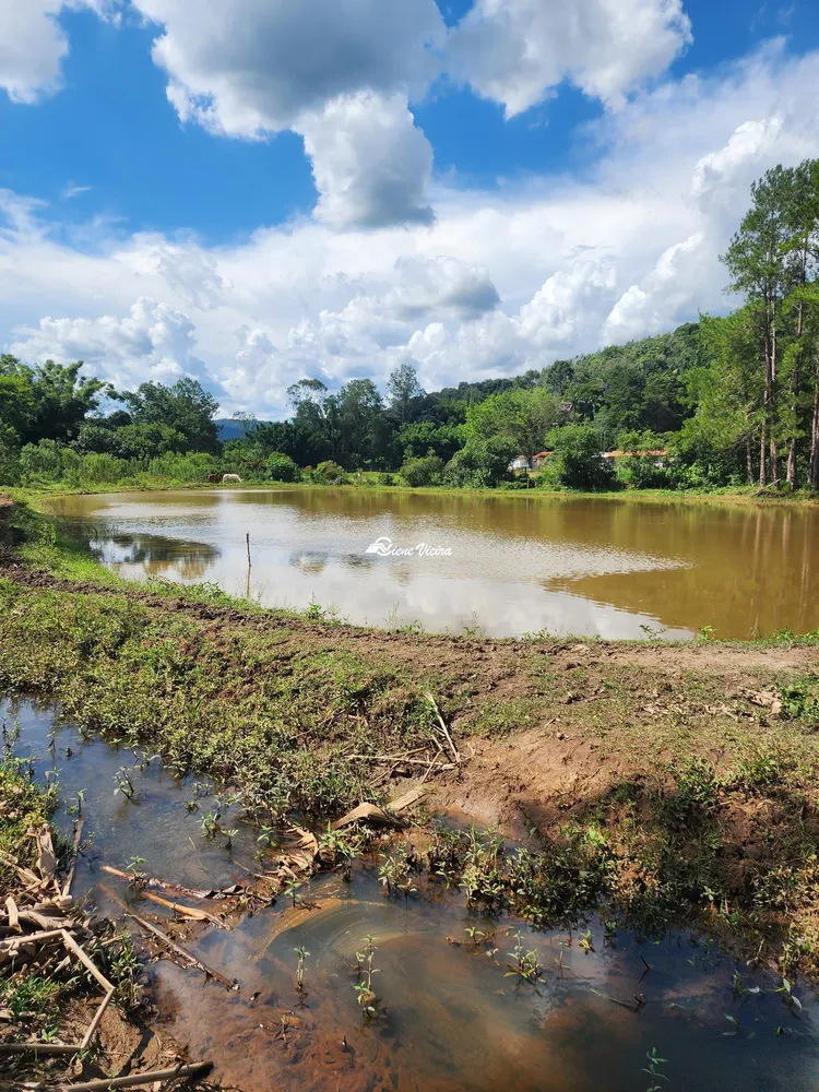 Chácara, 3 quartos, 2 hectares - Foto 7