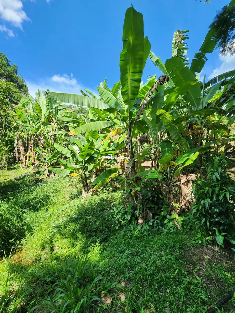 Chácara, 3 quartos, 2 hectares - Foto 8