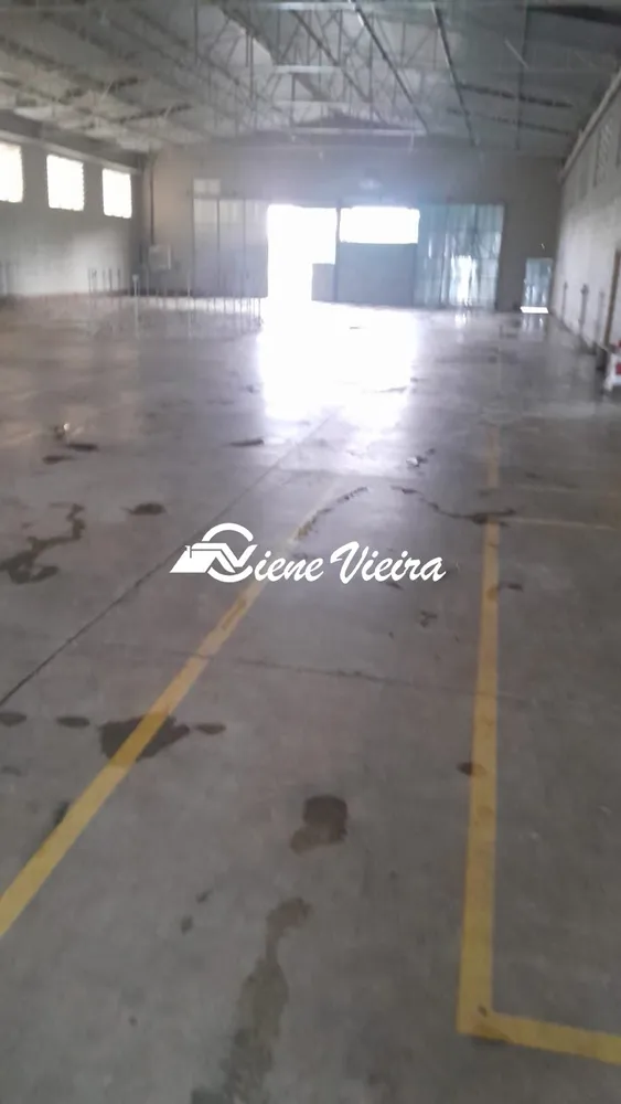 Depósito-Galpão, 10000 m² - Foto 4