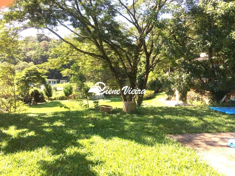 Chácara, 5 quartos, 10000 m² - Foto 4
