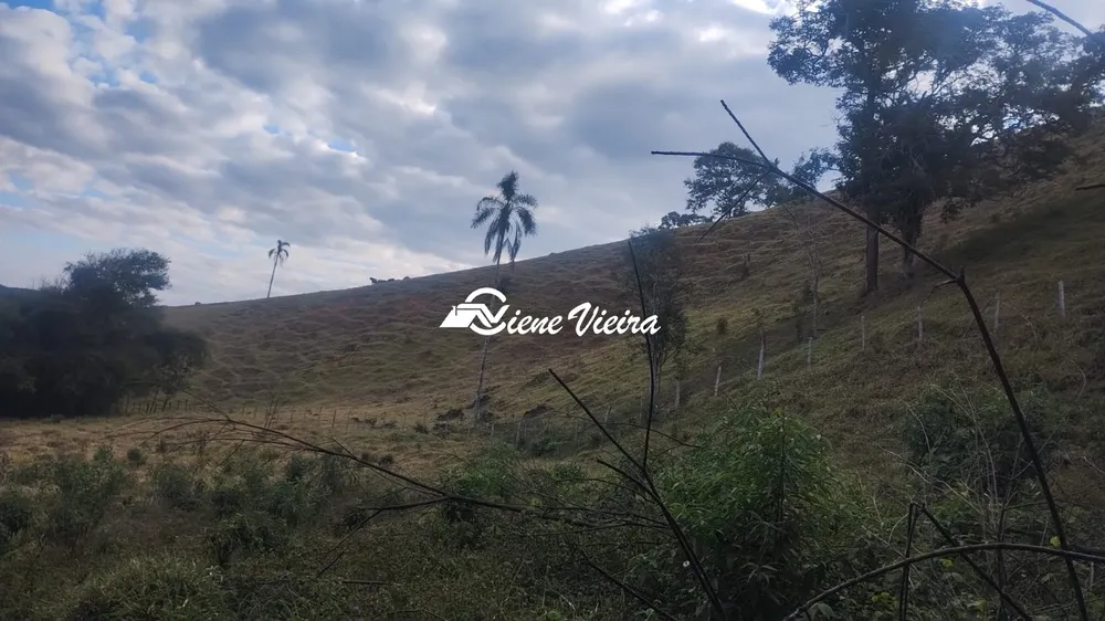 Terreno, 6 hectares - Foto 1