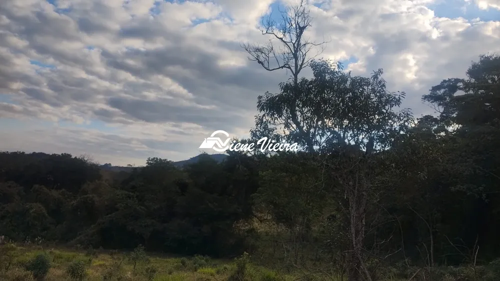 Terreno, 6 hectares - Foto 8